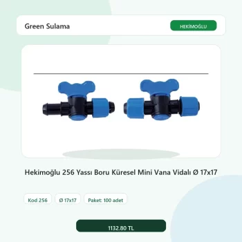 Hekimoğlu 256 Yassı Boru Küresel Mini Vana Vidalı Ø 17x17 - 100 Adet Paket gerçek katalog ürün görseli