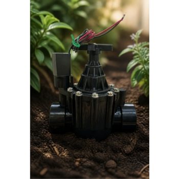 Rain Bird 200PGA 9V 2 inç solenoid vana bahçe toprağında sinematik görünüm