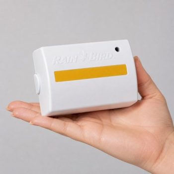 Rain Bird ESPLXDSM75 75 istasyon decoder genişletme modülü kadın avucunda