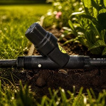 Rain Bird PRF100RBY 1 inç basınç regüleli filtre bahçede sinematik görünüm