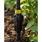 Rain Bird PSI-M20 20 PSI basınç regülatörü bahçede sinematik görünüm