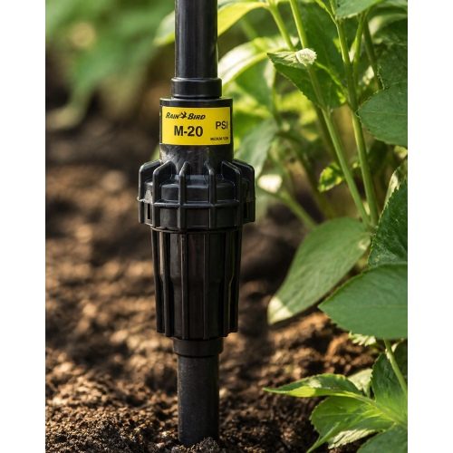Rain Bird PSI-M20 20 PSI basınç regülatörü bahçede sinematik görünüm Rain Bird PSI-M20 20 PSI basınç regülatörü bahçede sinematik görünüm