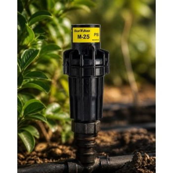 Rain Bird PSI-M25 25 PSI basınç regülatörü bahçede sinematik görünüm