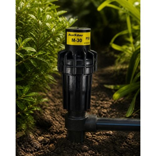 Rain Bird PSI-M30 30 PSI basınç regülatörü bahçede sinematik görünüm Rain Bird PSI-M30 30 PSI basınç regülatörü bahçede sinematik görünüm