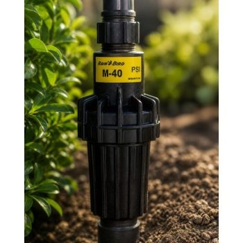 Rain Bird PSI-M40 40 PSI basınç regülatörü bahçede sinematik görünüm